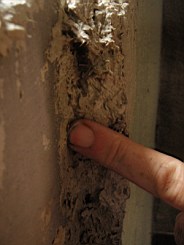 carrowcrory studio-3998.JPG